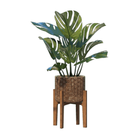 shop-bg-16