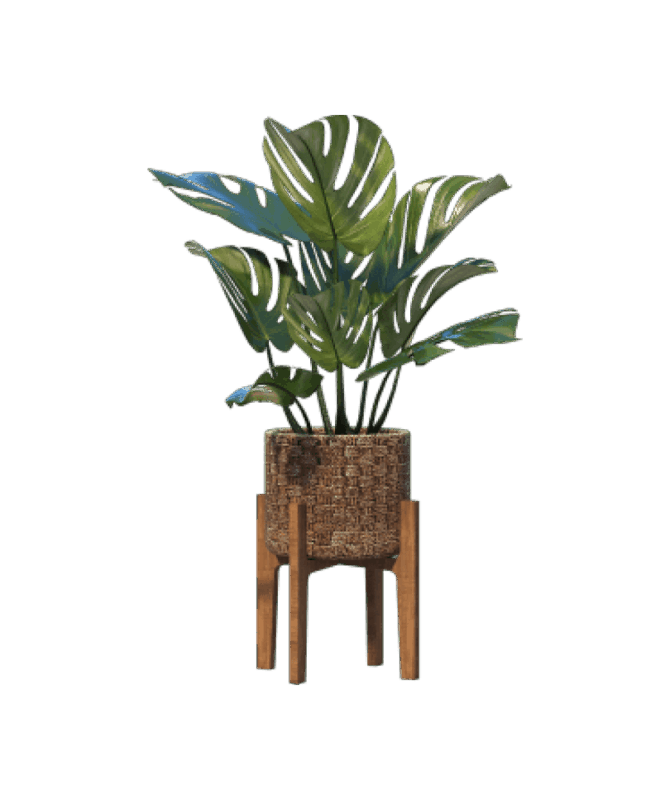 shop-bg-16